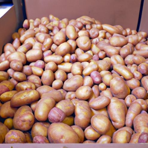Pommes de terre fraîches en gros en vrac chaudes dans un carton utilisées dans la vente de fournisseurs de pommes de terre fraîches