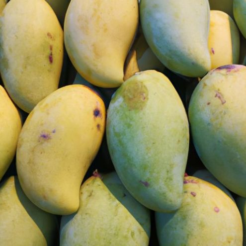 Proveedor de mangos Mejor precio competitivo de frutas tropicales frescas Natural Fresh