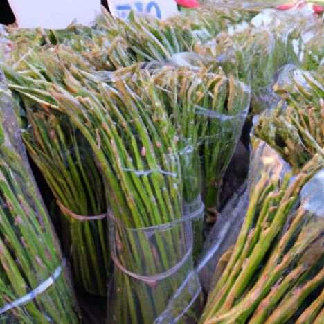 WITH COMPETITIVE PRICE AND wholesale from vietnam HIGH STANDARD FROM VIETNAM 2022 FRESH ASPARAGUS SUPER HOT HIGH STANDARD