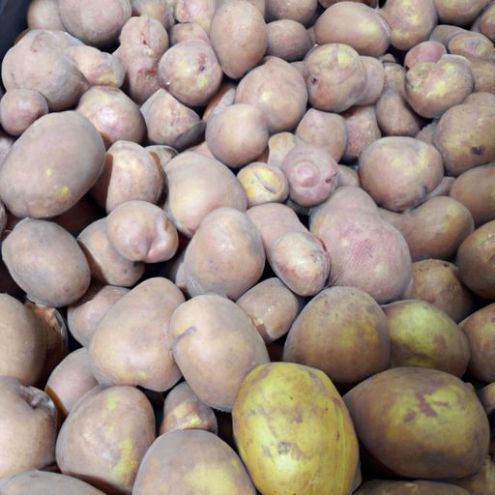 Pomme de terre au meilleur prix / Fournir une nouvelle récolte de qualité supérieure fraîche