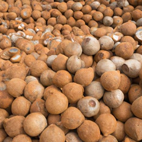 no Vietnã – Tubérculos de coco com preço competitivo no atacado feitos no mercado de exportação Coco Siamês Feito
