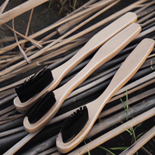 Escovas de dente de bambu com cerdas de carvão Ambiental em estojo de bambu Proteção Escova de dentes de carvão com cerdas de bambu 100% carbono natural