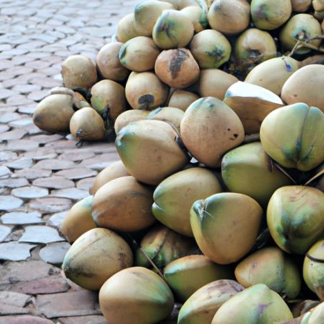 Натуральный, лучшая цена на рынке высококачественных и хороших цен из Вьетнама. Высококачественный вьетнамский свежий кокос, 100 процентов