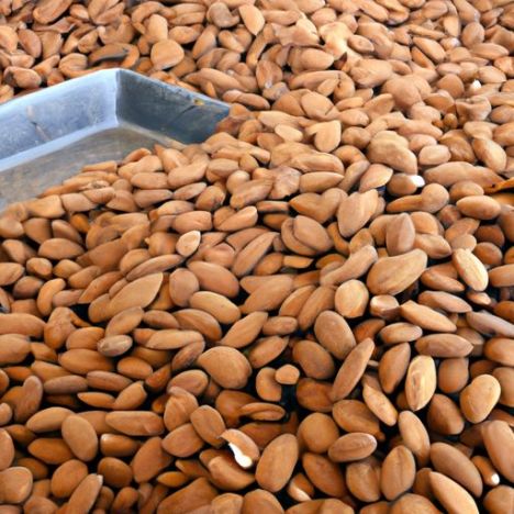 Amandelnoten klaar voor verzending Groothandel rauwe noten / Vers Californië