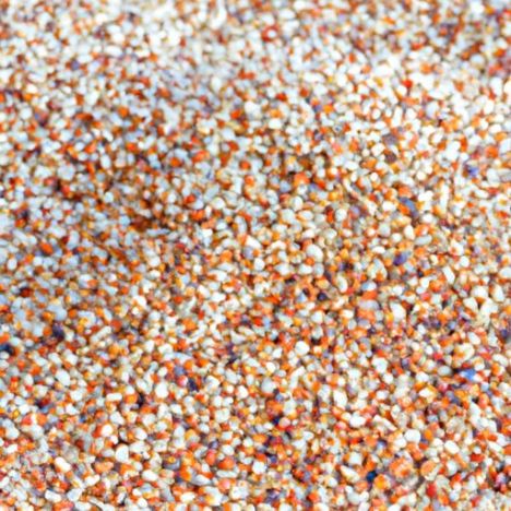 Hạt lúa miến bán buôn mỗi tấn để bán Giá có sẵn số lượng lớn màu trắng