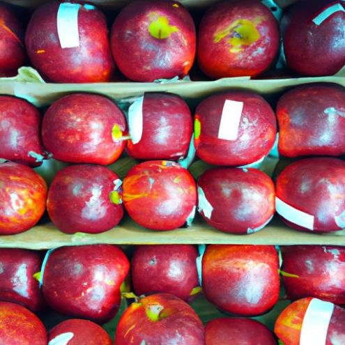価格 100% 新鮮なリンゴ 品質保証された果物を大量に販売 味が良く、栄養価が高く、健康に良い赤いリンゴの輸出業者 最も人気のある低工場
