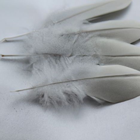 Bulu bebek abu-abu yang sudah dicuci, bulu angsa, dan bulu bebek putih atau bulu angsa, bahan baku pabrik grosir 2-4cm
